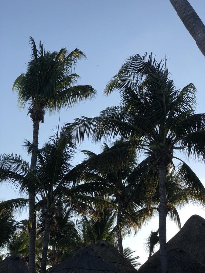 Condo Mar Arena Playa del Carmen Zewnętrze zdjęcie